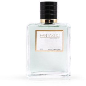 تصویر ادو پرفیوم زنانه دونا استیکر مدل فنتستیک FANTASTIC حجم ۱۰۰ میلی لیتر | Donna Sticker FANTASTIC Eau De Parfum For Women 100 ml 