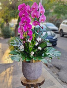 تصویر گلدان ارکیده لاکچری کد 567 Orkid Plant Code 567