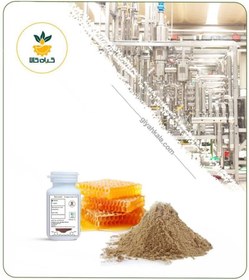 تصویر رویال ژلی (10HDA) 6 درصد 