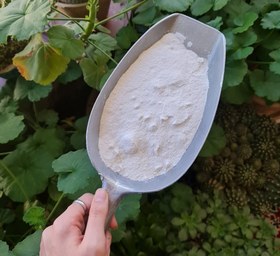 تصویر آرد برنج الک شده 