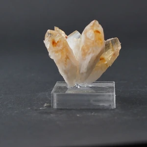 تصویر فروشگاه مرد سنگی