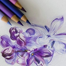 تصویر مداد رنگی 24 رنگ فابر کاستل مدل Polychromos Faber Castell 24 Color Pencil