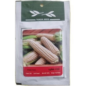 تصویر بذر ذرت سفید وانیا سید مدل BA1088 