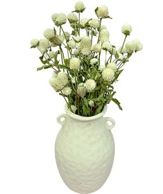 تصویر گل خشک دکمه ای 