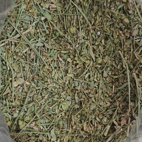 تصویر سداب (سوداب) 10 کیلویی 