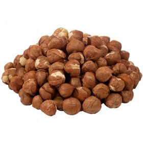 تصویر مغز فندق ایرانی 