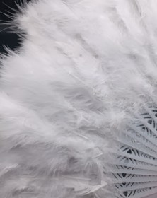 تصویر بادبزن عروس مدل 711 