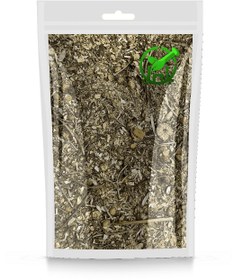 تصویر بابونه شیرازی 