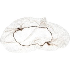 تصویر تور شینیون 