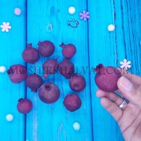 تصویر انار خشک تزیینی 