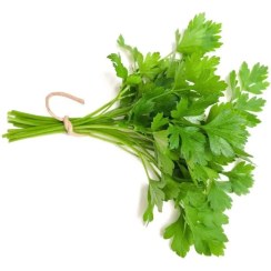 تصویر گشنیز پاک شده تازه بسته یک کیلوگرمی 