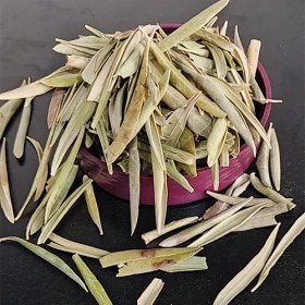 تصویر برگ زیتون 