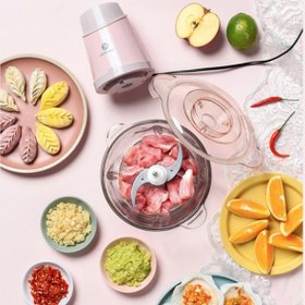 تصویر چرخ گوشت و غذاساز شیائومی Xiaomi Liven multifunctional meat grinder JRJ-W309 