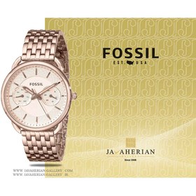 Es3713 fossil 2025