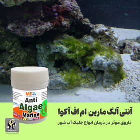 تصویر داروی ضد جلبک آب شور آنتی آلگ مارین ام اف آکوا MF aqua Metro Plus 12gr