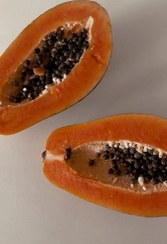 تصویر پاپایا هر نیم کیلو 