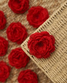 تصویر گیره انبری گل حریر 