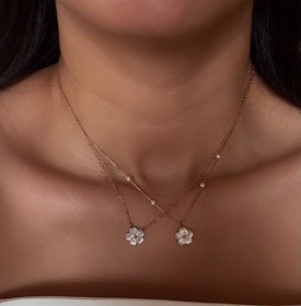 تصویر کالکشن : صدف طبیعی SEASHELL