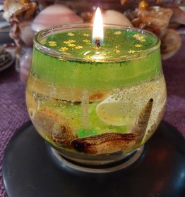 تصویر شمع تنگی ژله ای دریایی صدفی to/sa - سبز candle_panah