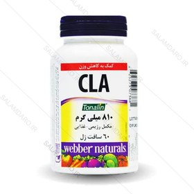 تصویر سافت ژل سی ال ای ۶۰ عدد وبر نچرالز | WEBBER naturals CLA 60 