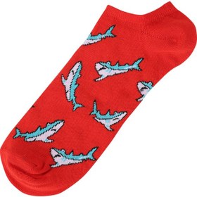 تصویر خرید اینترنتی جوراب رسمی و روزمره مردانه قرمز برند colin s .CL1063006_Q1.V1_RED ا Kırmızı Erkek Çorap Kırmızı Erkek Çorap