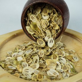 تصویر گلپر درشت 