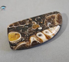 تصویر فسیل سنگی توریتلا 4.4 گرم 