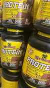 تصویر پروتین وی ماموت Whey MAmmotH 100%