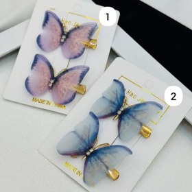 تصویر گلسر پروانه ای 