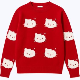 تصویر پلیور (۴۴۰۳۷۶۹) 