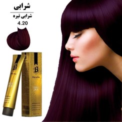 تصویر رنگ مو بیجورکا شماره 4.20(شرابی تیره)DARK VIOLET 