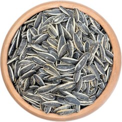 تصویر تخمه آفتابگردان ایرانی ۱ کیلوگرم پر مغز 