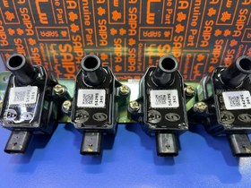 تصویر کویل شاهین 