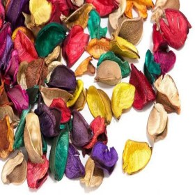 تصویر گل خشک رنگی 