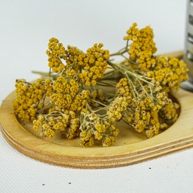 تصویر بومادران 