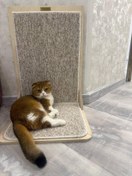 تصویر اسکرچر ال شکل گربه 