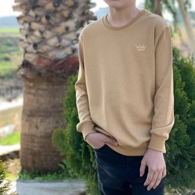 تصویر بلوز تاج بیسکویتی 