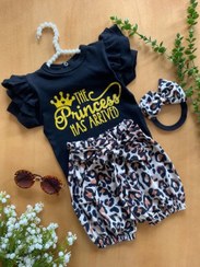 تصویر سه تکه پلنگی 