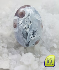 تصویر نگین شجر دریایی 