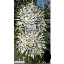 تصویر تاج گل برای مسجد رسول اکرم (ص) جهانشهر کرج t1161 