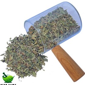 تصویر رازیانه 