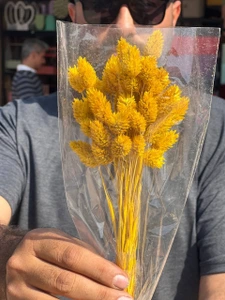 تصویر فروشگاه گلستونک