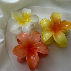 تصویر کلیپس پلومریا کد GH 