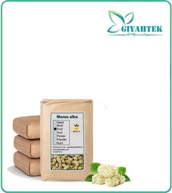 تصویر توت خشک فله 