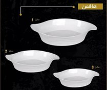 تصویر مرغ خوری بزرگ هافمن 