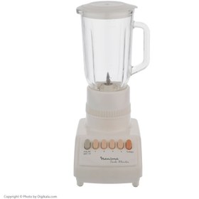 تصویر مخلوط کن و آسیاب کن نانیوا مدل 395 Naniva Mixer Model N