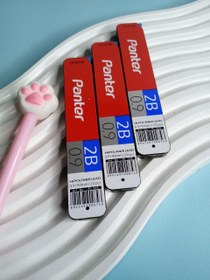 تصویر نوک اتود ۹دهم بلند پنتر 