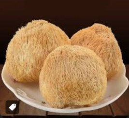 تصویر قارچ یال شیر یا هریسیوم خشک شده بسته صدگرمی lion's mane mushroom