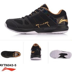 تصویر کفش بدمینتون لی نینگ Li-Ning AYTN043-5 