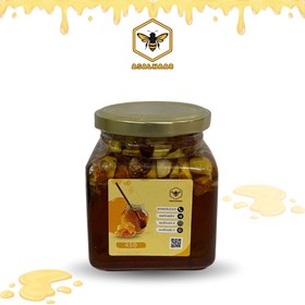 تصویر عسل طبیعی مغزدار 450 گرمی 
